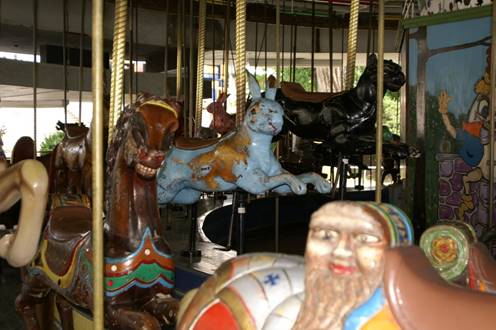 A person in a carousel

Description generated with very high confidence