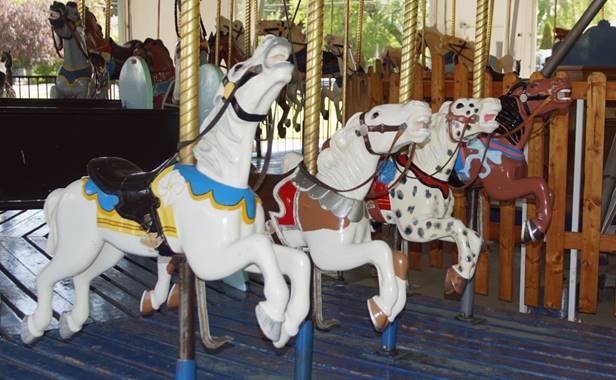 A picture containing indoor, floor, carousel, outdoor object

Description automatically generated