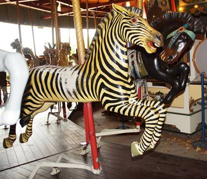 A zebra stands in front of a carousel

Description automatically generated