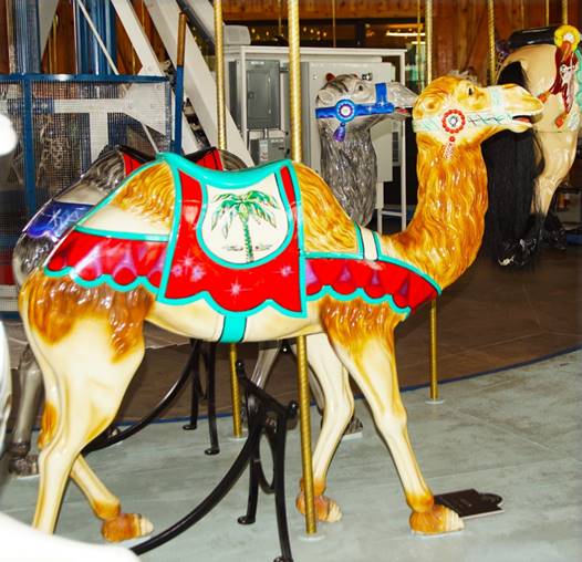 A camel on a merry go round

Description automatically generated