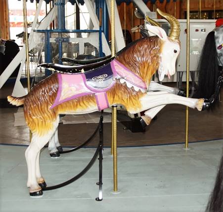 A goat on a merry go round

Description automatically generated