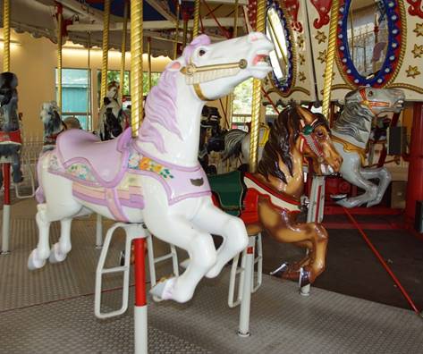A horse on a merry go round

Description automatically generated