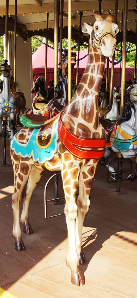 A giraffe on a carousel

Description automatically generated