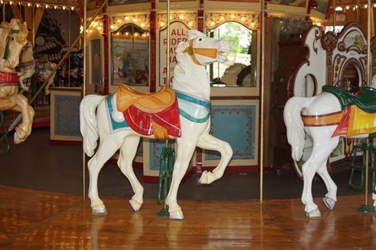 A white horse on a wooden floor

Description automatically generated